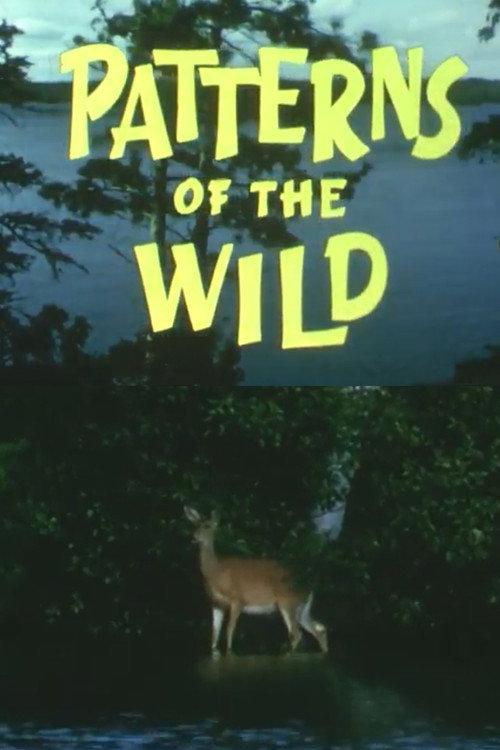 Patterns Of The Wild 1966 official movie poster