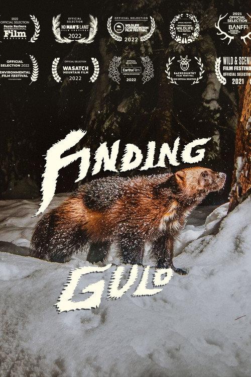 Finding Gulo 2022 official movie poster
