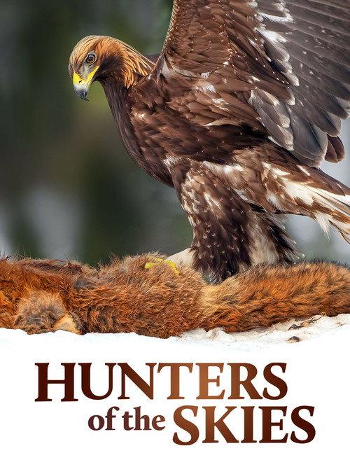 Hunters of the Skies 2018 official movie poster