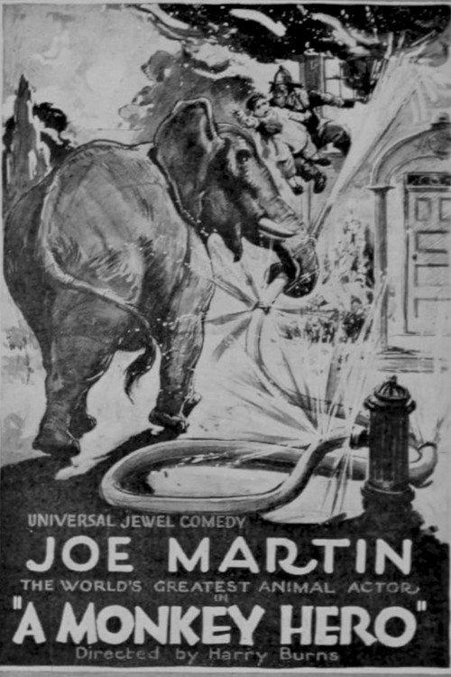 A Monkey Hero 1921 official movie poster