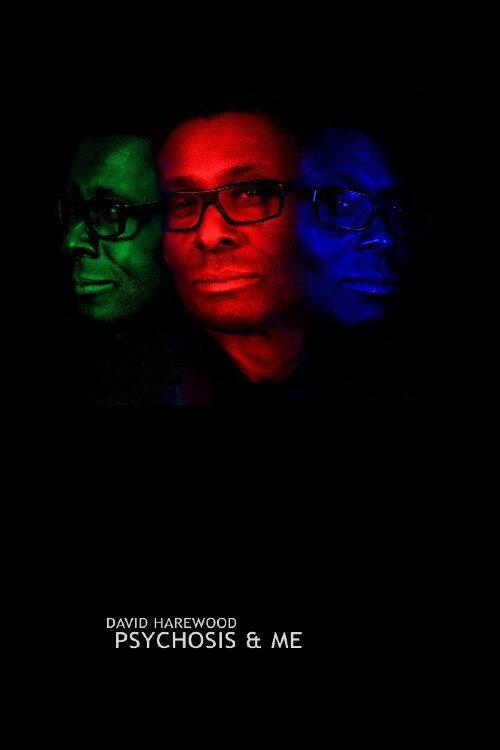 David Harewood: Psychosis and Me 2019 official movie poster