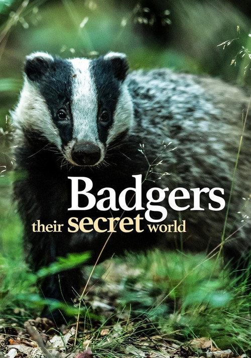 Badgers: Their Secret World 2025 official movie poster
