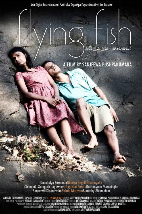 Flying Fish 2011 official movie poster