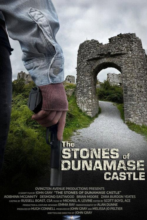 The Stones of Dunamase Castle 2025 official movie poster