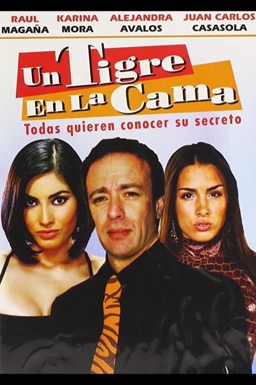Un tigre en la cama 2009 official movie poster