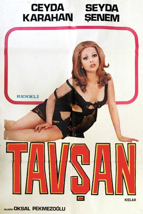 Rabbit Girls 1976 official movie poster
