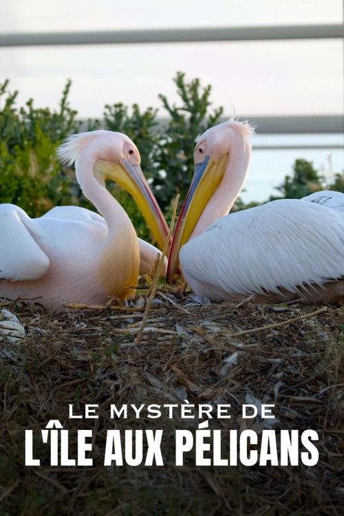 Die Pelikan-Insel - Geheimnis in Russlands Steppe 2023 official movie poster