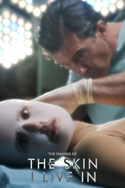 The Making of The Skin I Live In 2012 official movie poster