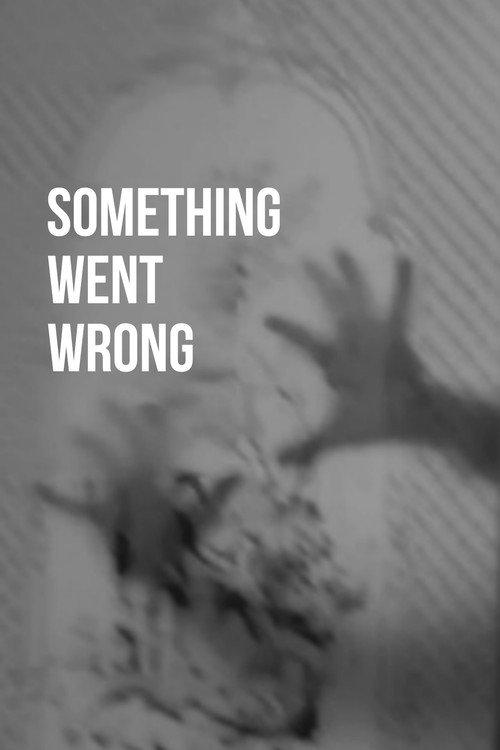 Something went wrong 2023 official movie poster