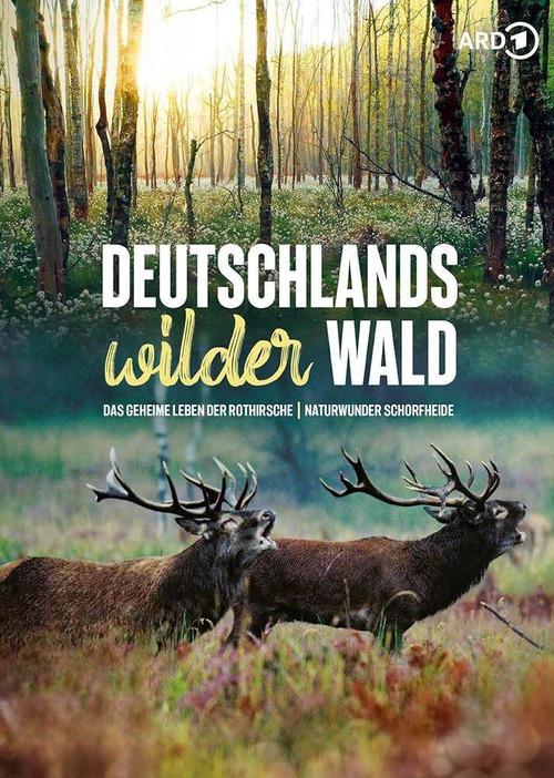 Das geheime Leben der Rothirsche 2020 official movie poster