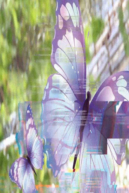 sacha_butterfly_hypno_reconstruction1.mp4 2025 official movie poster