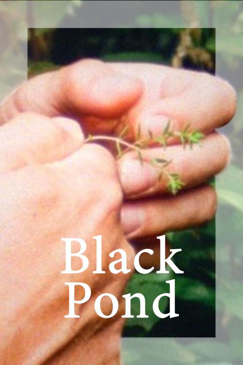 Black Pond 2018 official movie poster