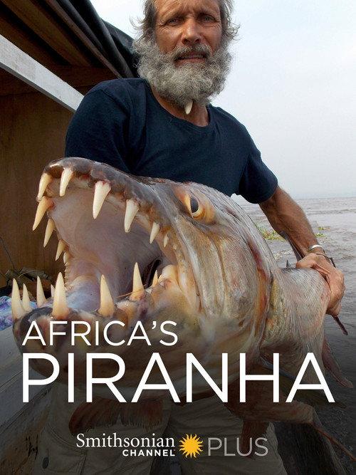 Africa's Piranha 2014 official movie poster