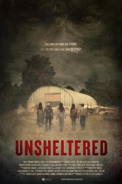 Unsheltered 2022 official movie poster