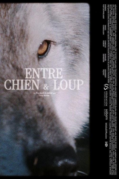 ENTRE CHIEN & LOUP 2025 official movie poster
