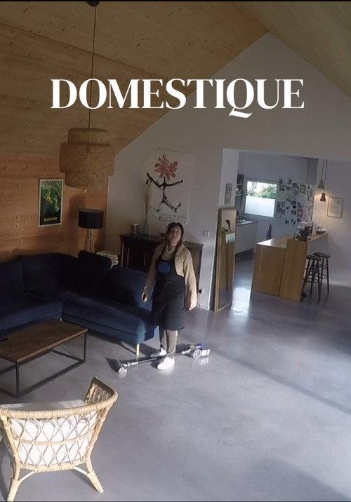 Domestique 2025 official movie poster