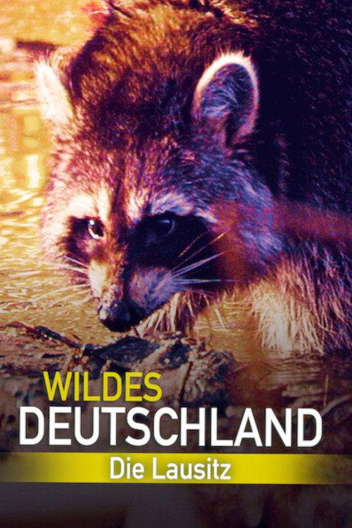 Wild Germany: Exploring Lusatia 2013 official movie poster
