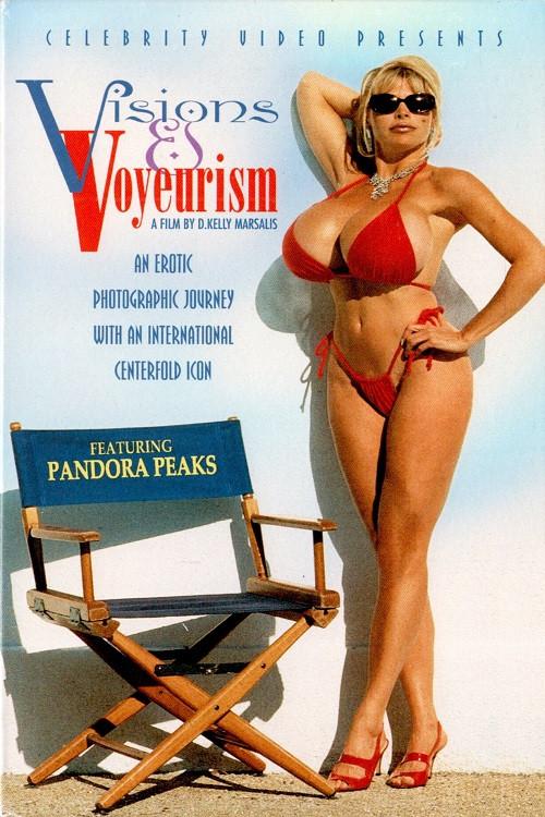 Visions and Voyeurism 1998 official movie poster