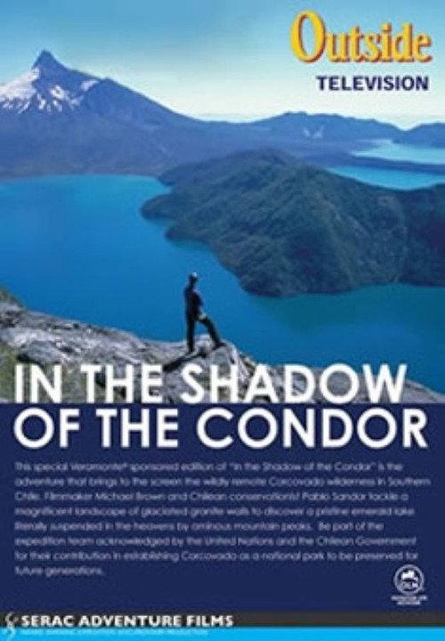 In the Shadow of the Condor 2002 official movie poster