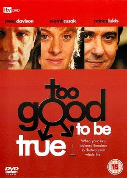 Too Good to Be True 2003 official movie poster