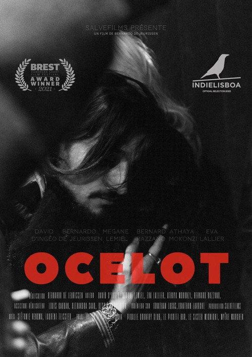 Ocelot 2022 official movie poster