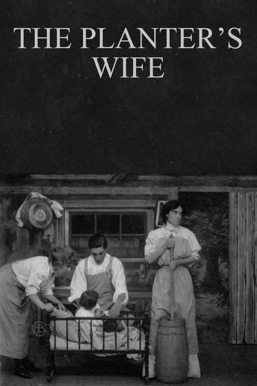 The Planter's Wife 1908 official movie poster