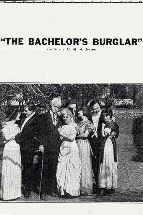 The Bachelor's Burglar 1915 official movie poster