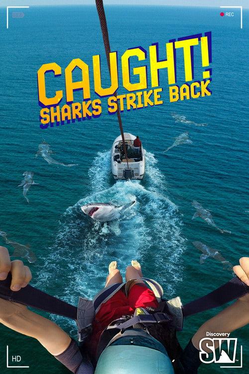 Caught! Sharks Strike Back 2025 official movie poster