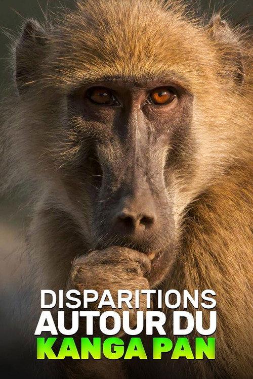 Disparitions autour du Kanga Pan 2019 official movie poster