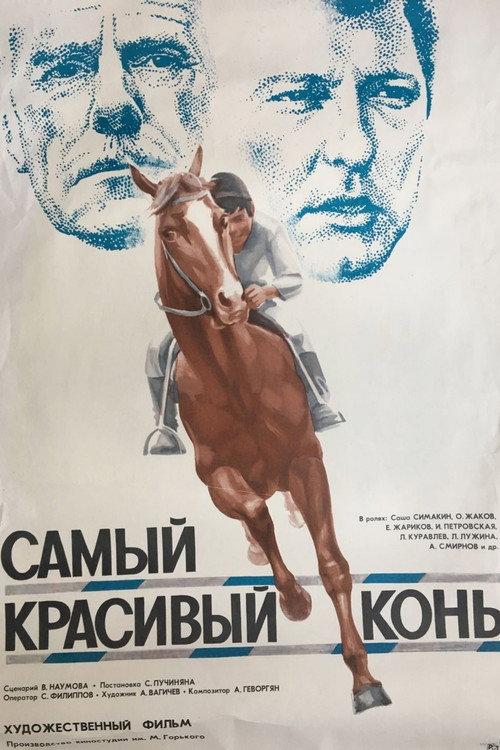 The Most Beautiful Horse 1977 official movie poster