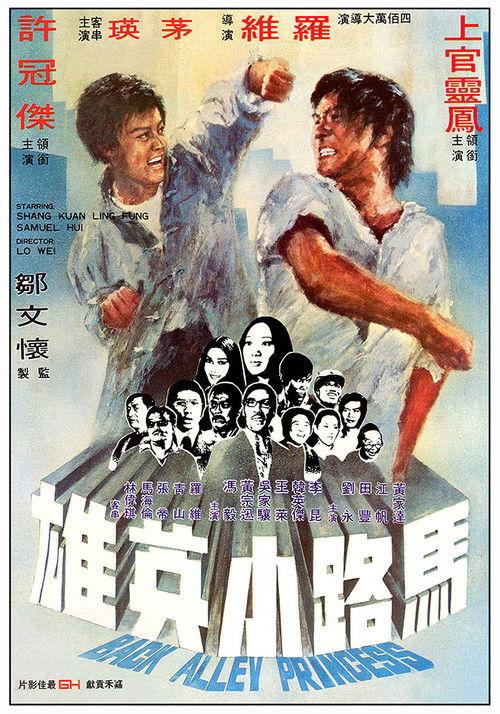 Back Alley Princess 1973 official movie poster