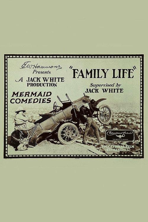 Family Life 1924 official movie poster