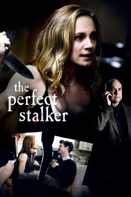 The Perfect Stalker 2016 official movie poster