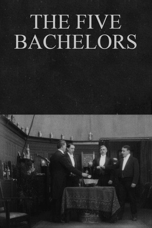The Five Bachelors 1913 official movie poster