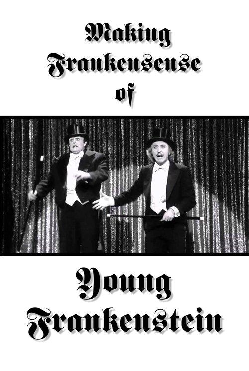 Making Frankensense of Young Frankenstein 1996 official movie poster
