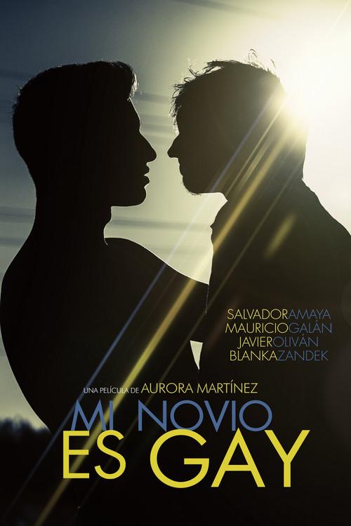 My Boyfriend Is Gay 2015 official movie poster