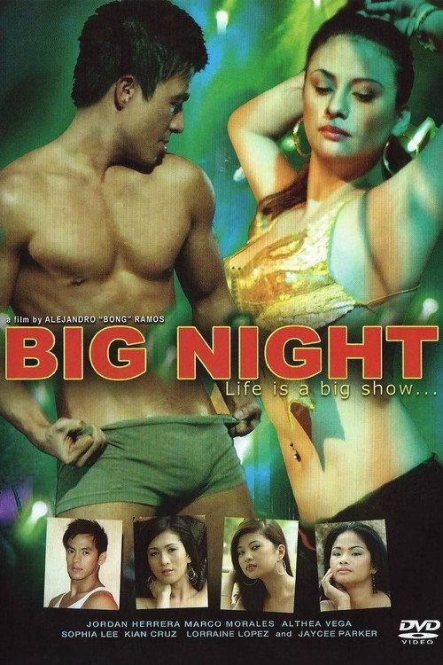 Big Night 2009 official movie poster