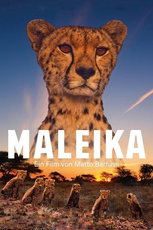 Maleika 2017 official movie poster
