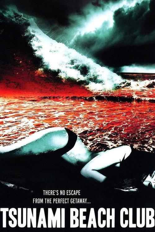 Tsunami Beach Club 2008 official movie poster