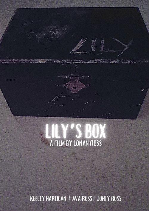Lily’s Box 2024 official movie poster
