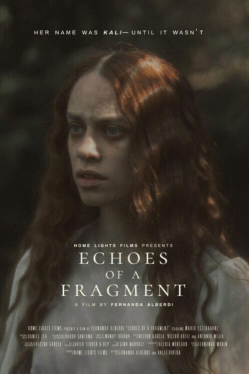 Echoes of a Fragment 2025 official movie poster