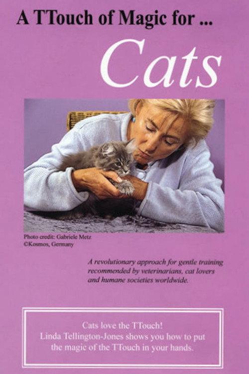 A TTouch of Magic for Cats 1994 official movie poster