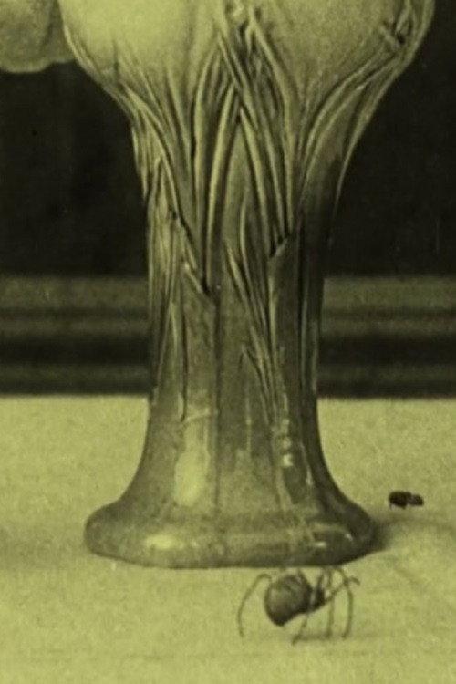 The Spider and the Fly 1913 official movie poster