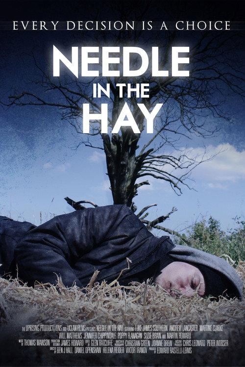 Needle in the Hay 2011 official movie poster