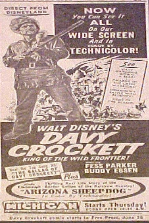 Arizona Sheepdog 1955 official movie poster