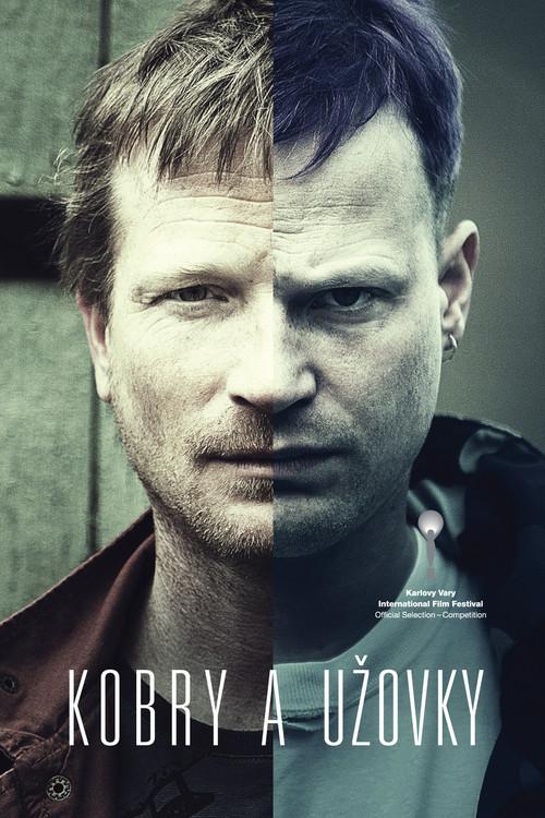 The Snake Brothers 2015 official movie poster