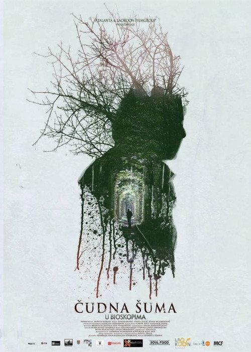 Strange Forest 2014 official movie poster