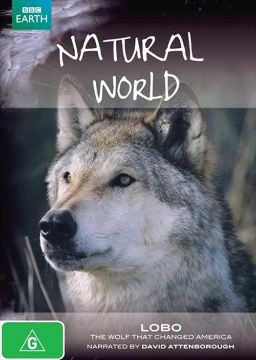 A Wolf Called Storm 2012 official movie poster