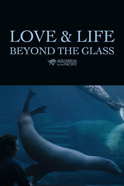 Love & Life Beyond the Glass 2024 official movie poster