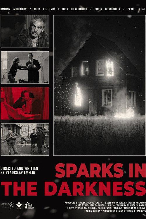 Sparks in the darkness 2024 official movie poster